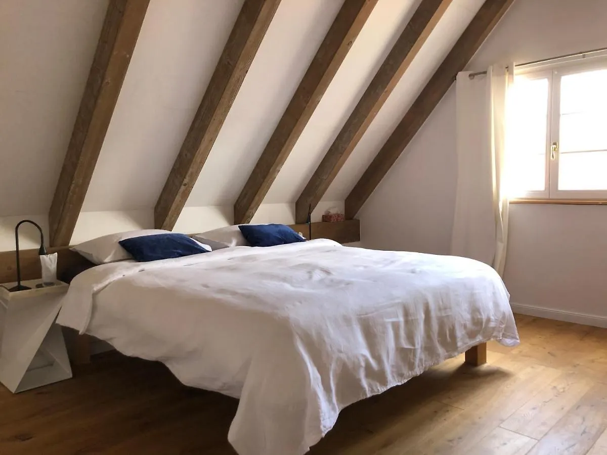 Hotel Die Grüne Bettlad Boutique-Hotel Bühl
