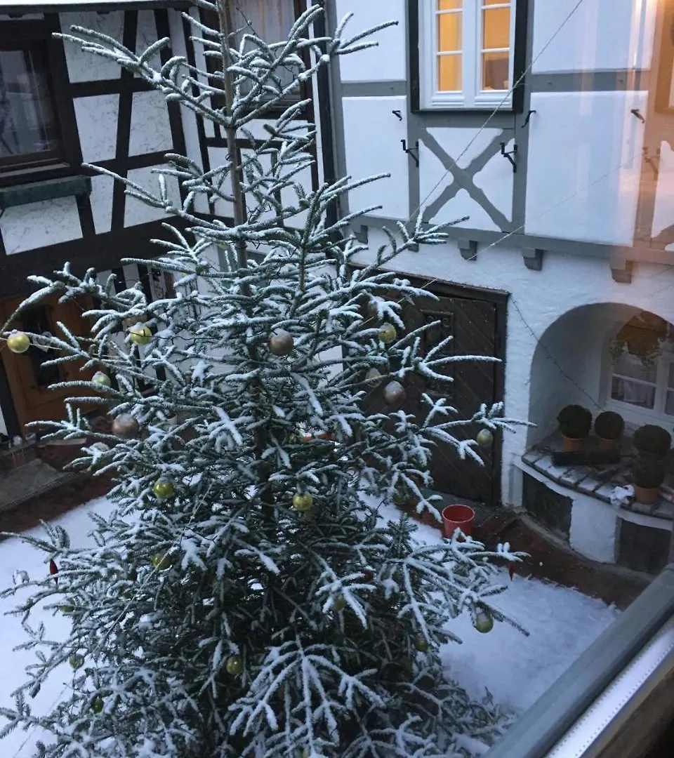 Die Grüne Bettlad Boutique-Hotel Bühl